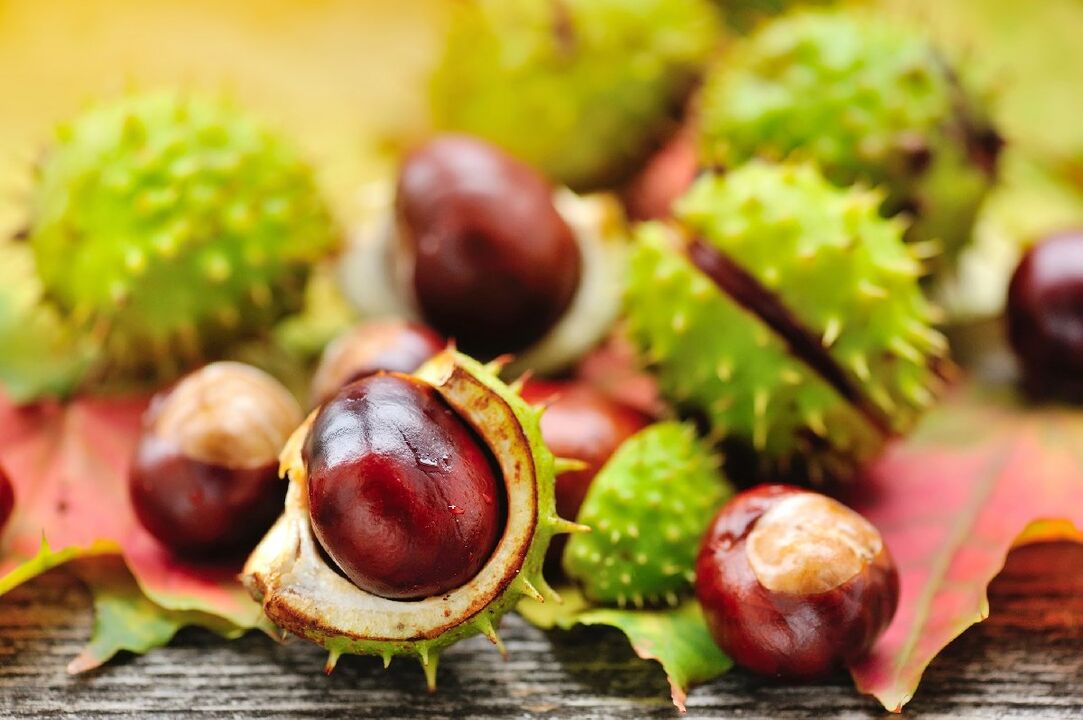Horse chestnut for chronic prostatitis